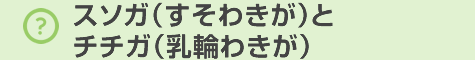 スソガ(すそわきが)とチチガ(乳輪わきが)