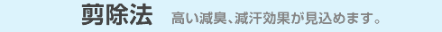剪除法 高い減臭、減汗効果が見込めます。
