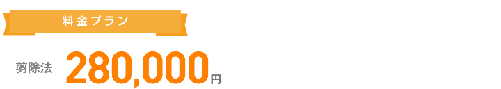 剪除法 280.000円