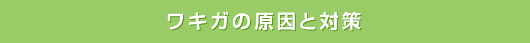 ワキガの原因と対策