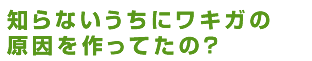 知らないうちにワキガの原因を作ってたの?